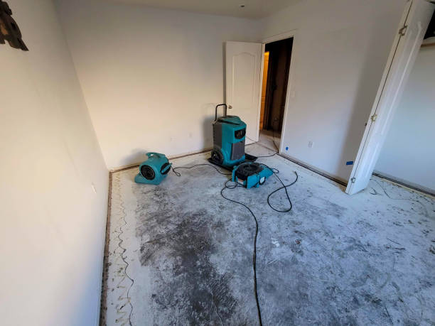 Best Sewage cleanup and water damage restoration  in Hemlock, MI