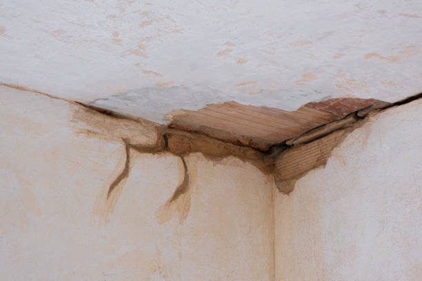 Best Flood damage cleanup  in Hemlock, MI