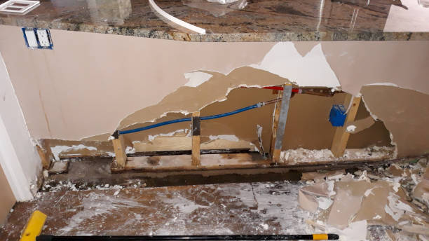 Best Water damage restoration specialists  in Hemlock, MI