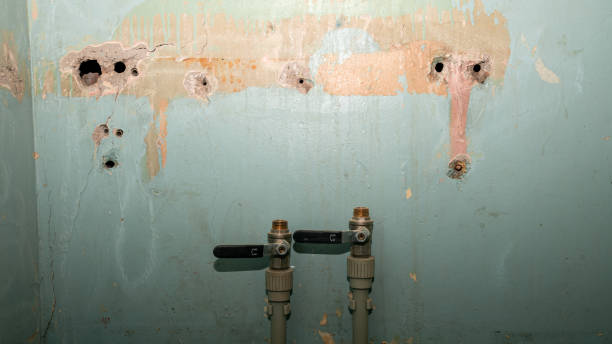Best Commercial water damage restoration  in Hemlock, MI