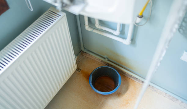 Best Water damage restoration process  in Hemlock, MI