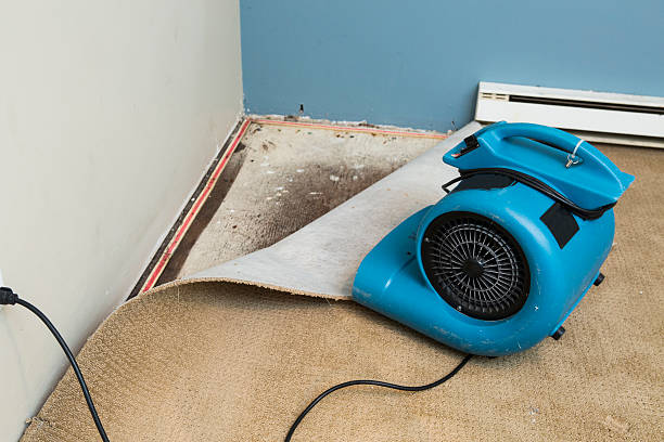 Best Sewage cleanup and water damage restoration  in Hemlock, MI